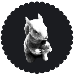 snack_eichhoerndl snack_eichhoerndl